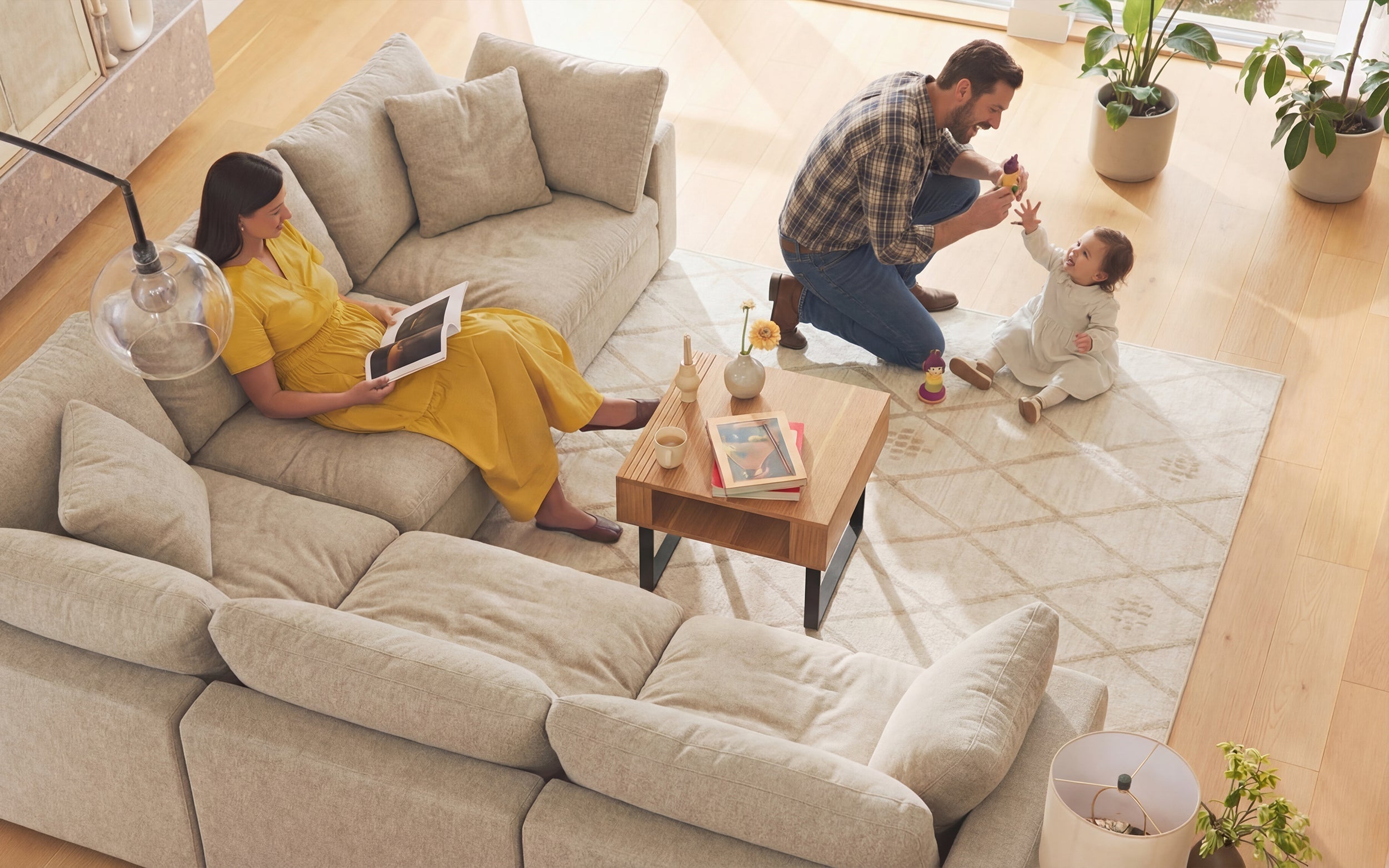 Muted green sofa in a natural light living room
