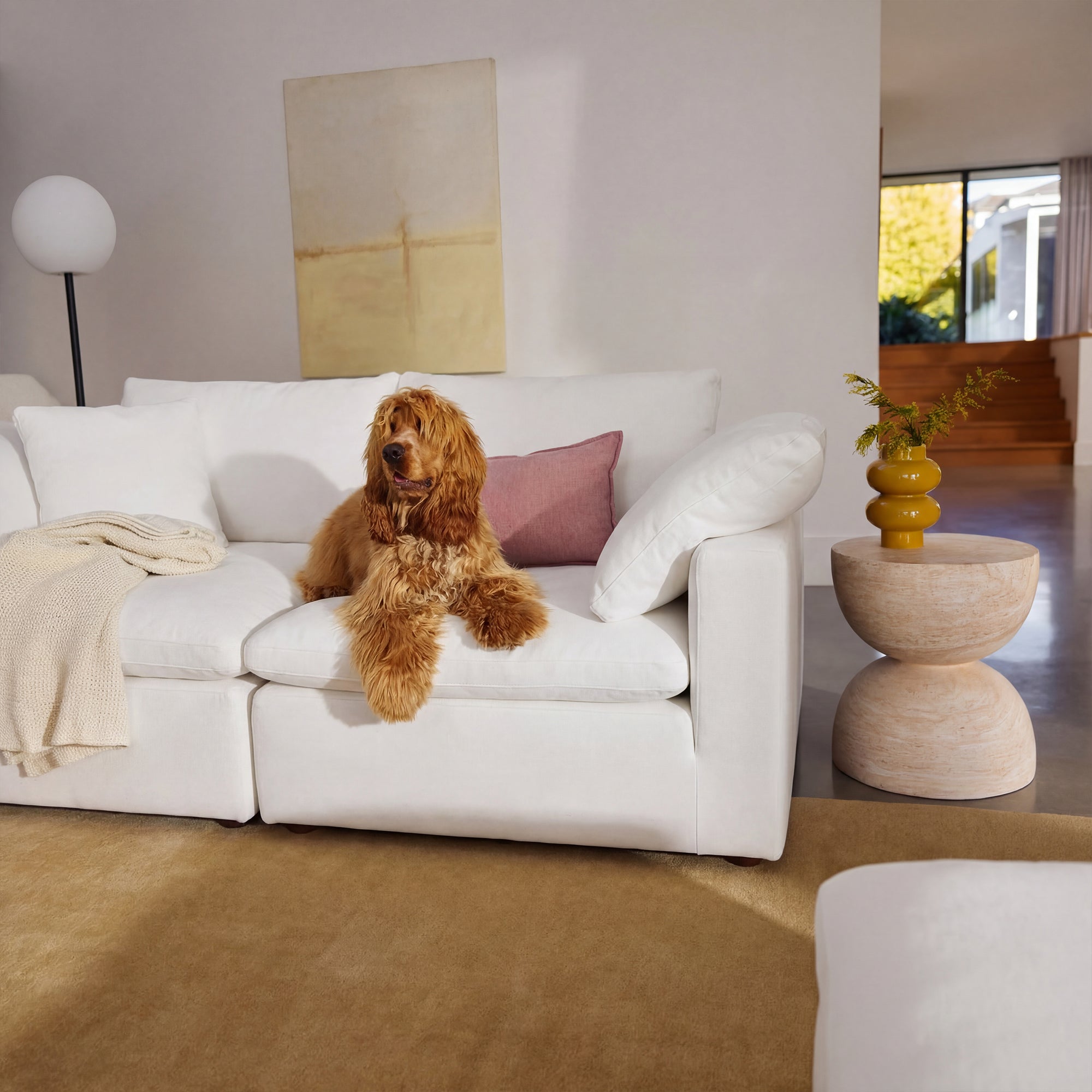 Cloud couch with warranty documentation