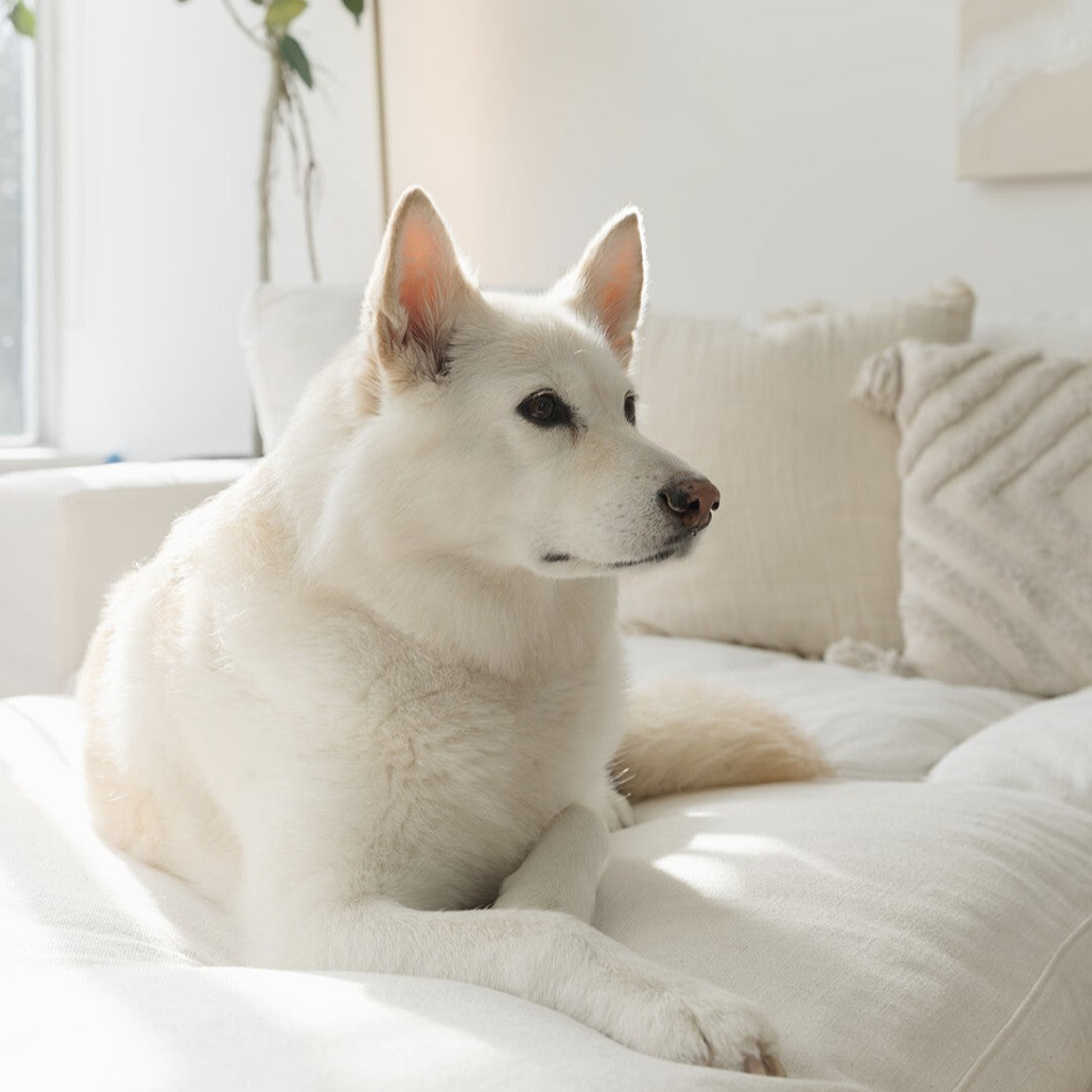 489523939_18037536509624238_1625553350771138646_n